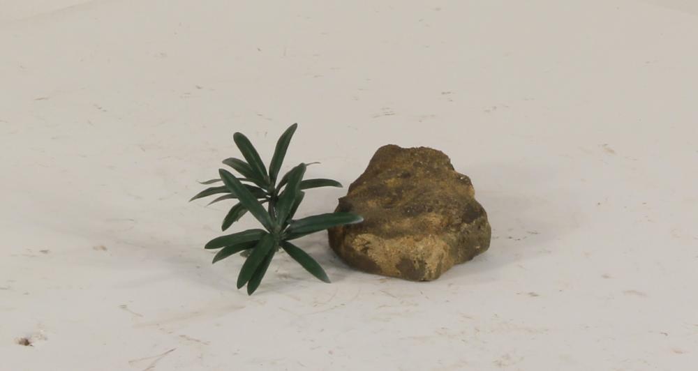 Universal Rocks Dispersion Rock - DR-002