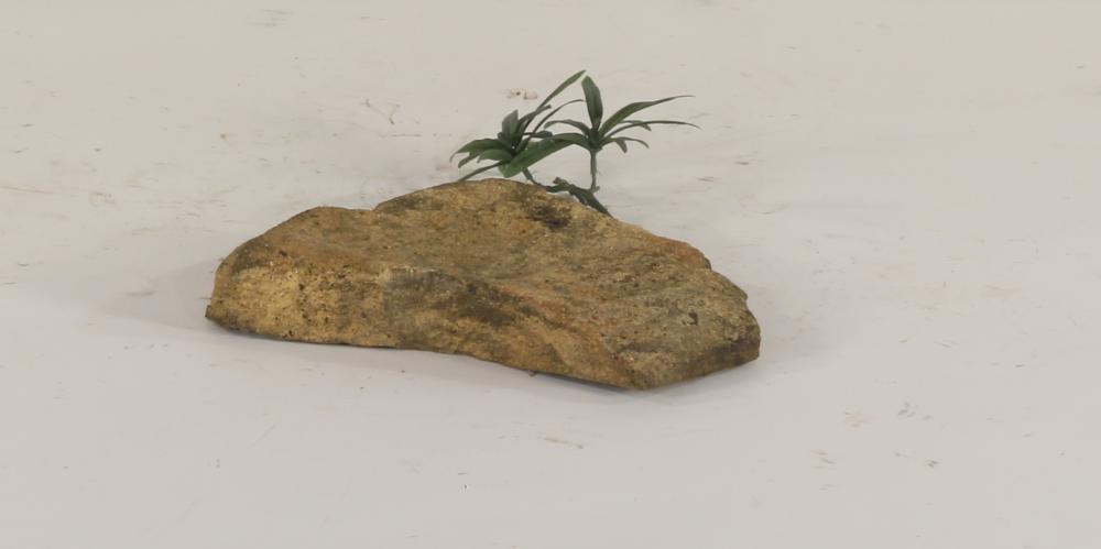 Universal Rocks Dispersion Rock - DR-003