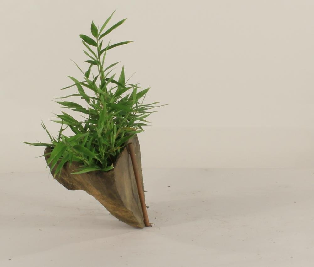 Universal Rocks Wall Planter - WP-002