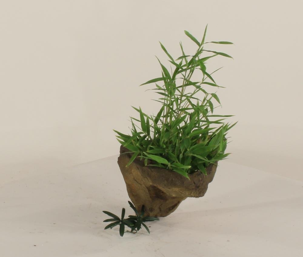 Universal Rocks Wall Planter - WP-002