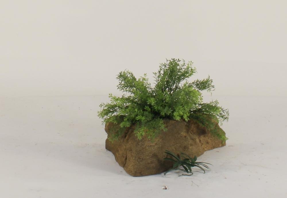 Universal Rocks Pot Rock - POTROCK-006