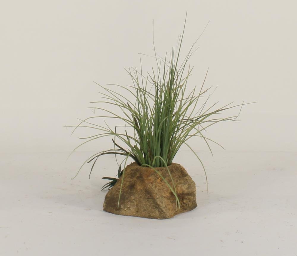Universal Rocks Pot Rock - POTROCK-007