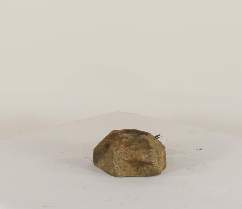 Universal Rocks Pot Rock - POTROCK-007