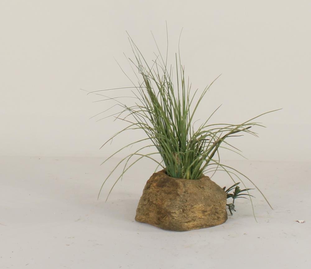 Universal Rocks Pot Rock - POTROCK-007