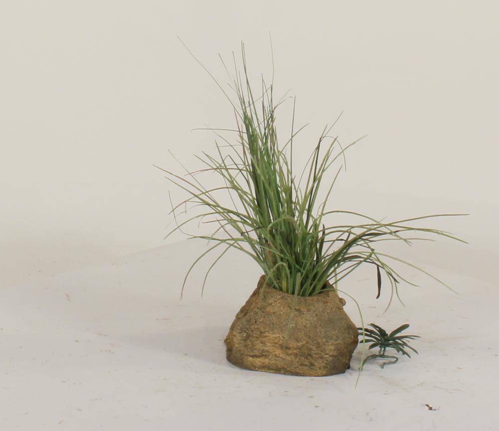 Universal Rocks Pot Rock - POTROCK-007