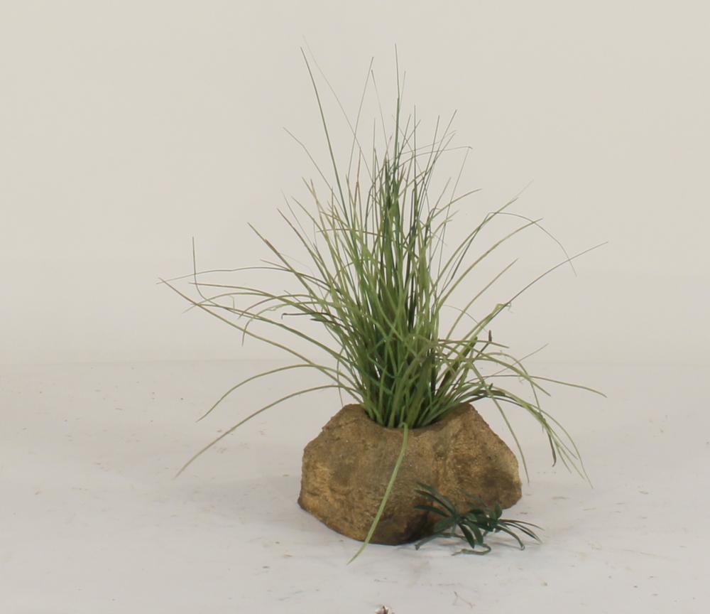 Universal Rocks Pot Rock - POTROCK-007