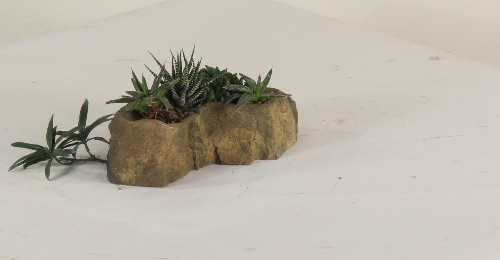 Universal Rocks Pot Rock - POTROCK-009