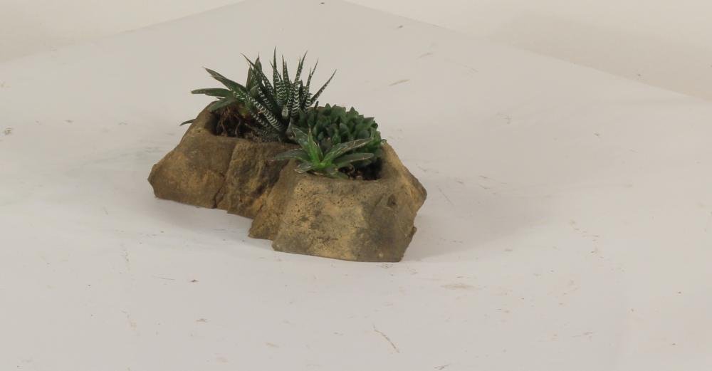 Universal Rocks Pot Rock - POTROCK-009
