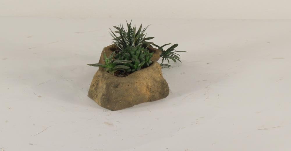 Universal Rocks Pot Rock - POTROCK-009