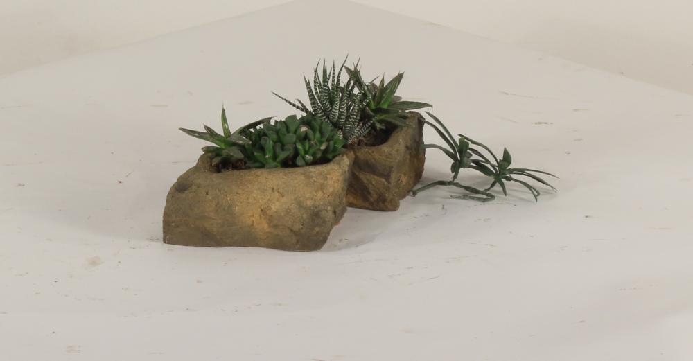 Universal Rocks Pot Rock - POTROCK-009