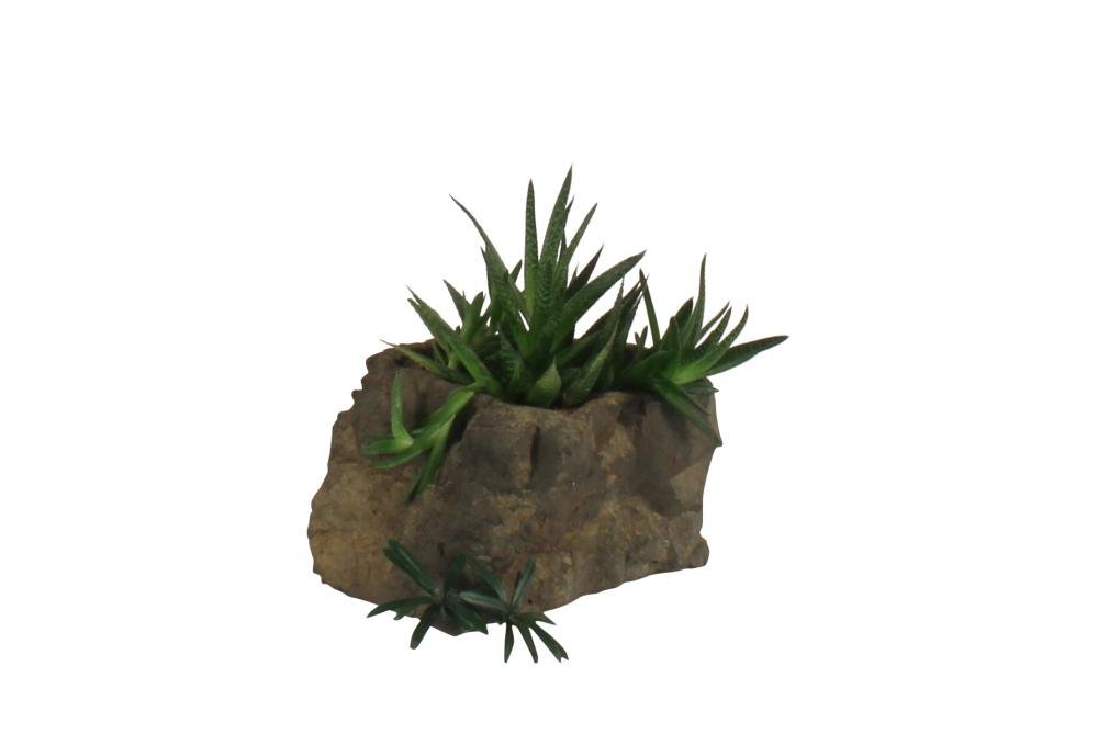 Universal Rocks Pot Rock - POTROCK-010