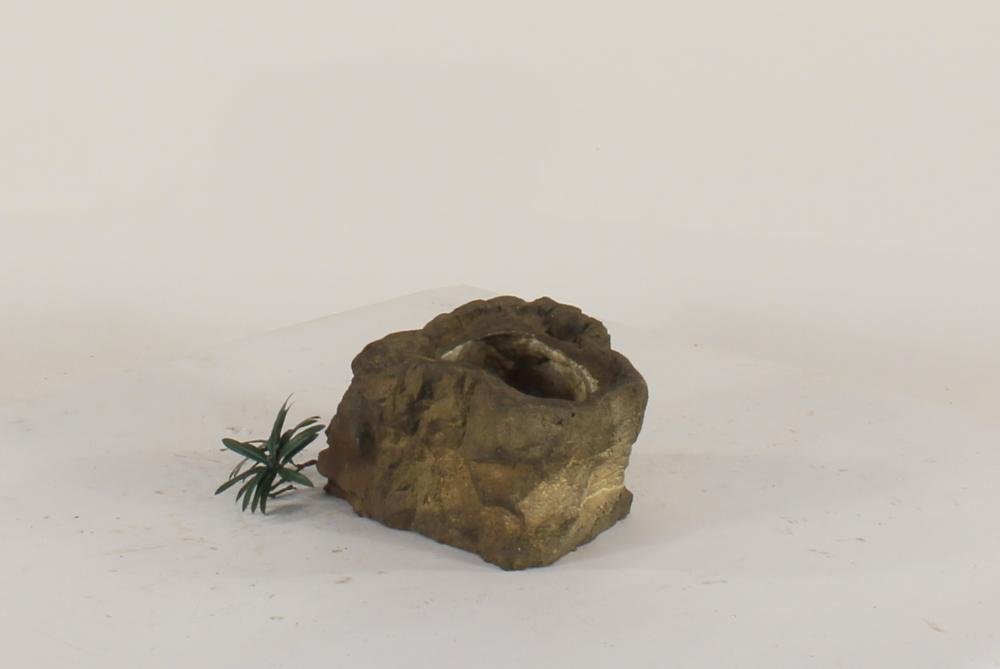 Universal Rocks Pot Rock - POTROCK-010