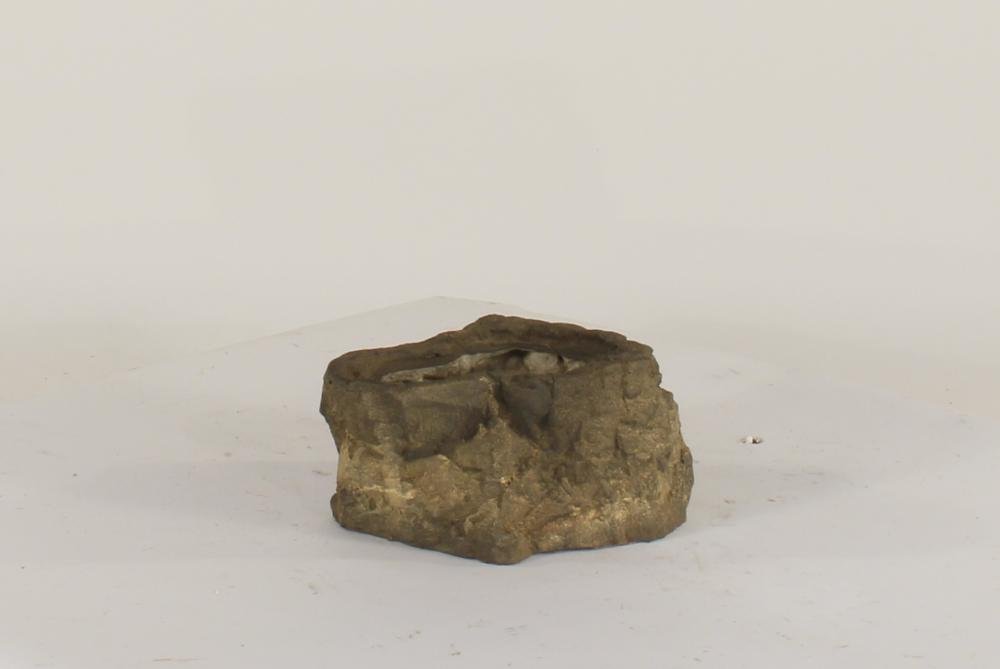Universal Rocks Pot Rock - POTROCK-010