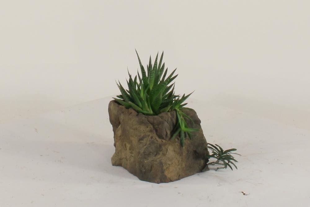 Universal Rocks Pot Rock - POTROCK-010