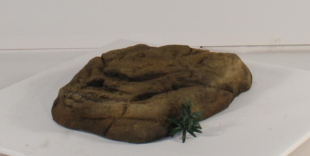 Universal Rocks Skimmer Lid - SL-001