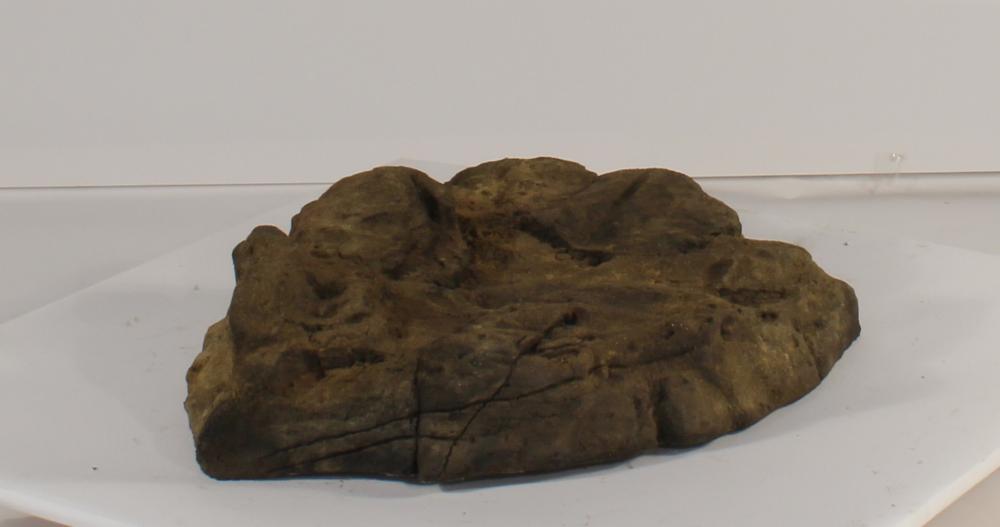 Universal Rocks Skimmer Lid - SL-002