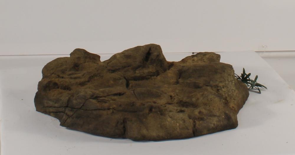 Universal Rocks Skimmer Lid - SL-002