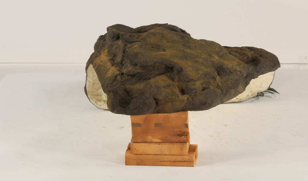 Universal Rocks Edge Rock-016- ER-016