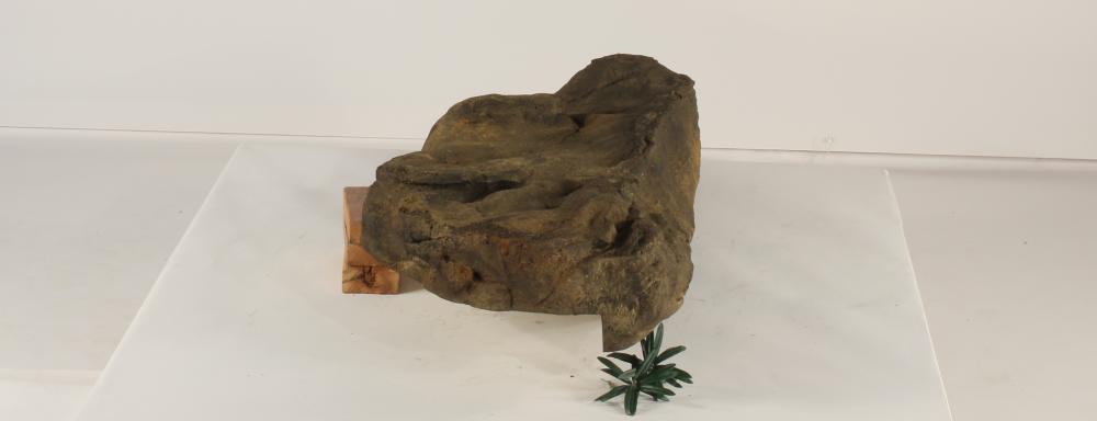 Universal Rocks Edge Rock-019- ER-019