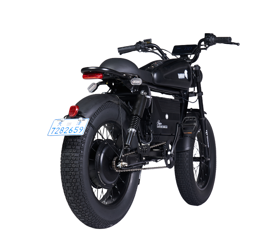 SoverSky Knight /Black Warrior Electric Fat Tire Bike
