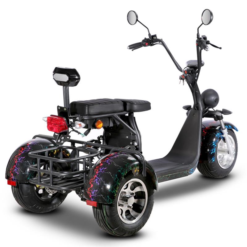 SoverSky Electric Mobility Adult Trike 2000w T7.1/T7.2