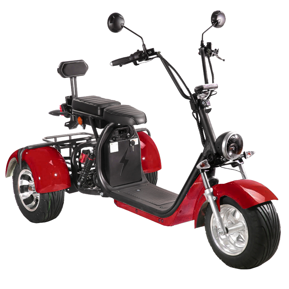 SoverSky Electric Mobility Adult Trike 2000w T7.1/T7.2