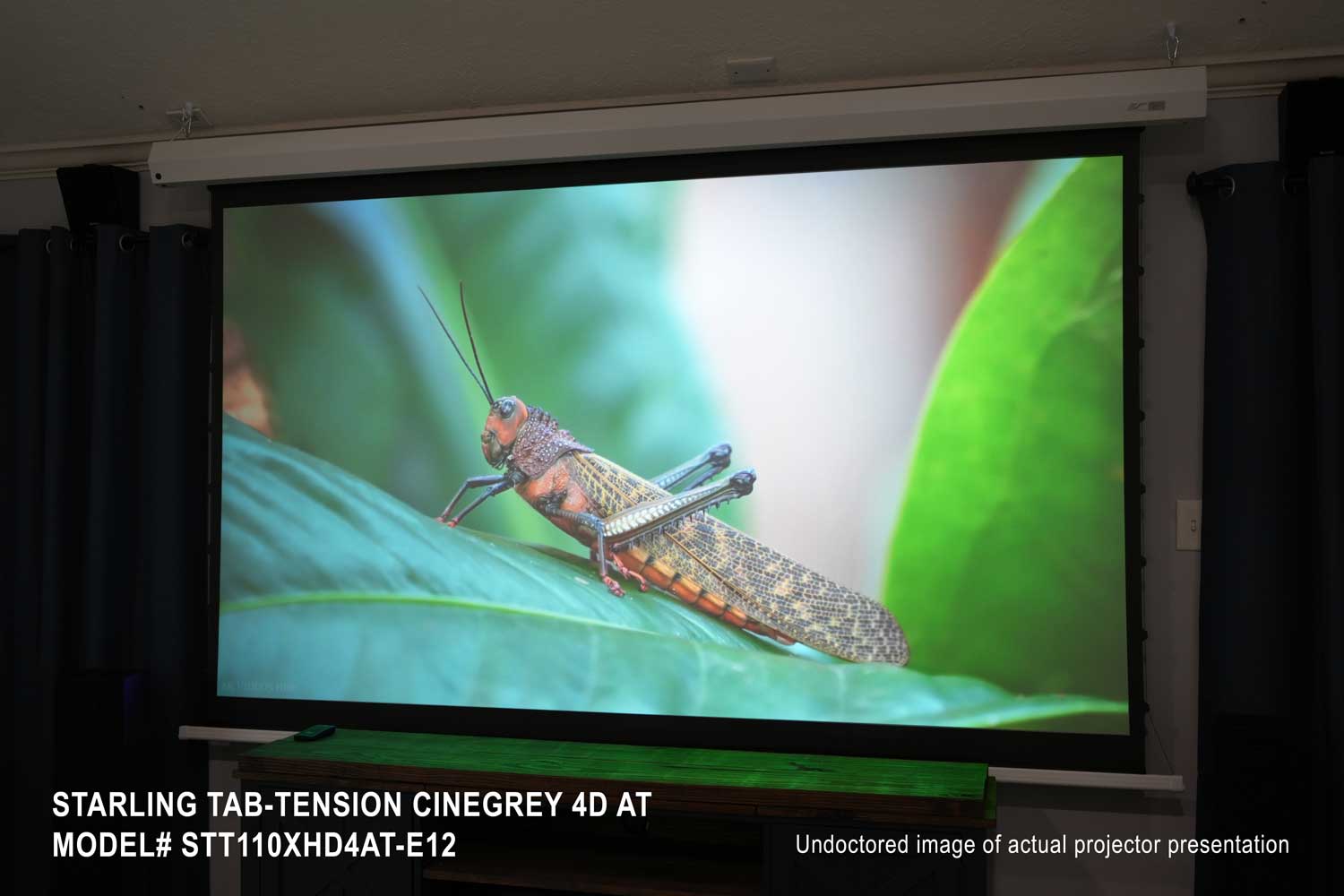 Elite Screens Starling Tab-Tension CineGrey 4D AT Series