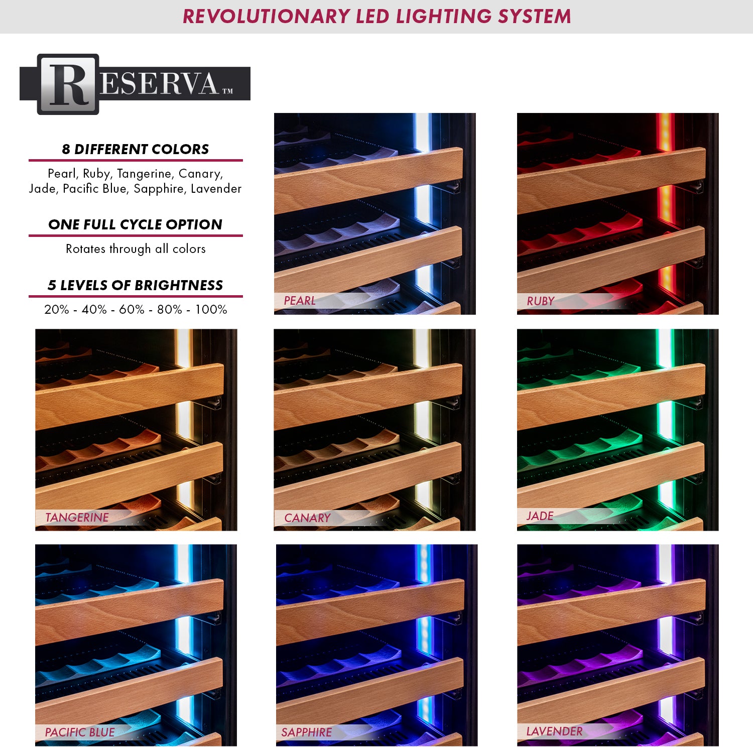 Allavino Reserva Series 163 Bottle 71" Tall Single Zone Right Hinge Stainless Steel Wine Cooler Refrigerator