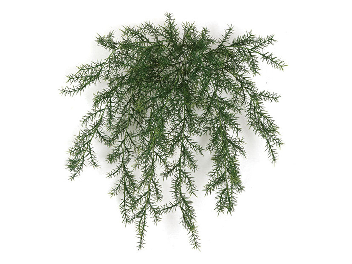 Universal Rocks Climber Plant - CLIMBER