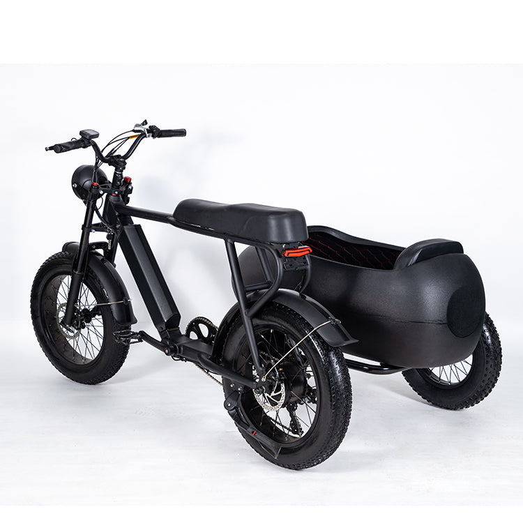 Sidecar For Electric Bike