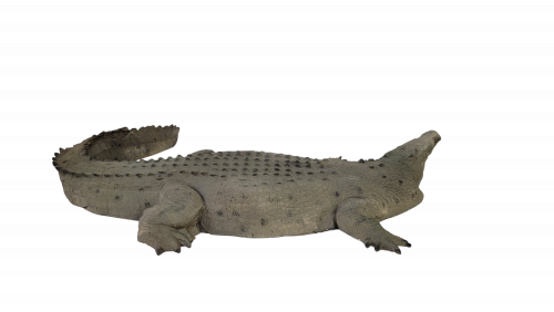 Universal Rocks Large 11ft Floating Crocodile - CROC11