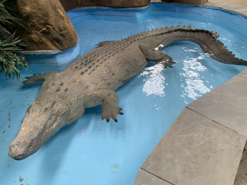 Universal Rocks Large 11ft Floating Crocodile - CROC11
