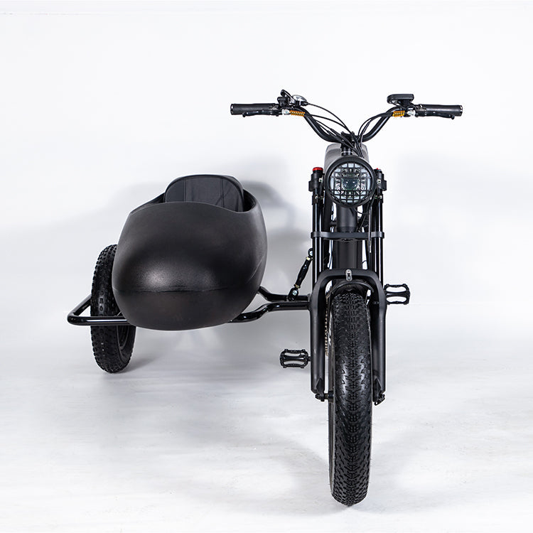 Sidecar For Electric Bike