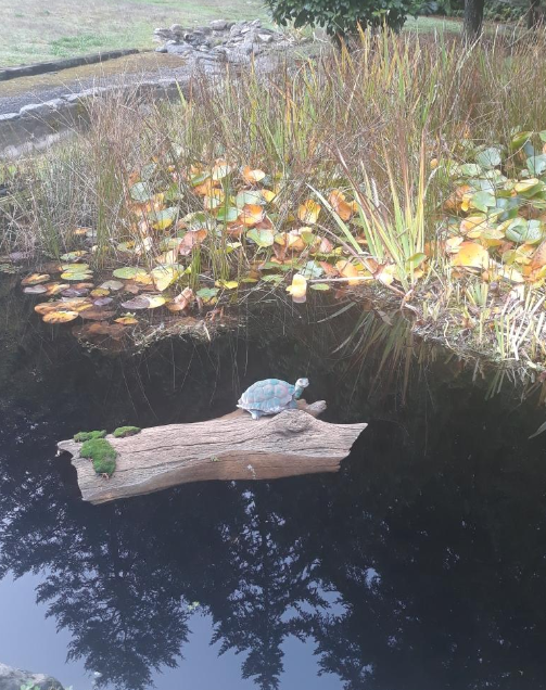 Universal Rocks Floating Log - FL-005