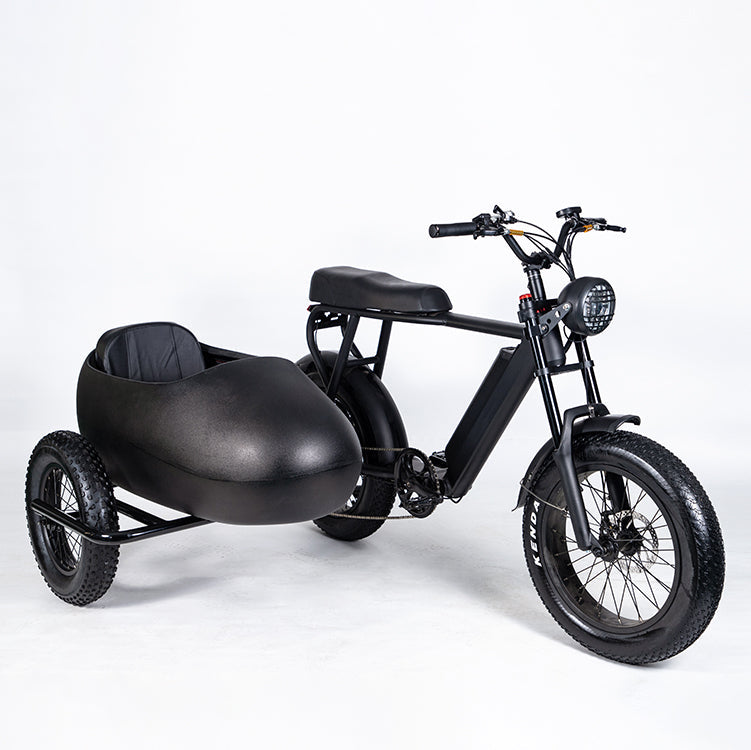 Sidecar For Electric Bike