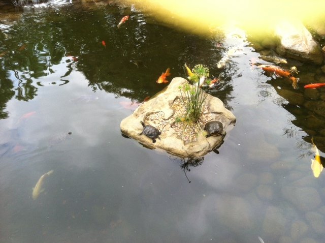 Universal Rocks Floating Rock - FR-007